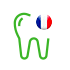 Soins Dentaires en France : Dentiste et Santé Bucale Contour de dent vert avec une icône ronde du drapeau français, symbolisant les soins dentaires en France.